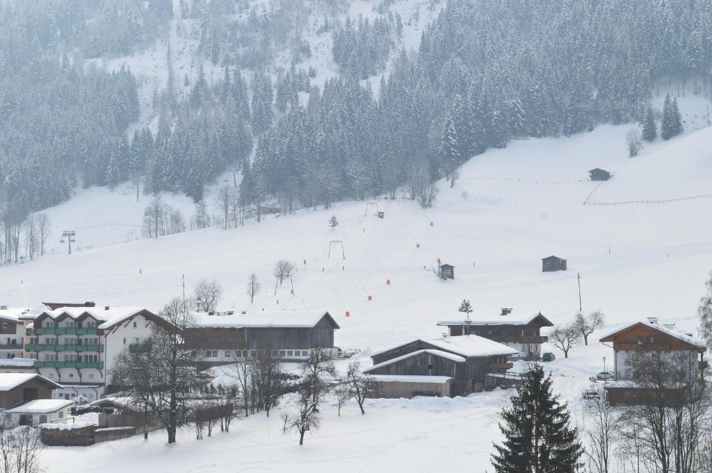 Pension Leitenhof ニーデラウ エクステリア 写真
